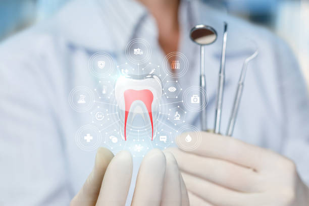 Seymour, TX Holistic Dental Care Services Company